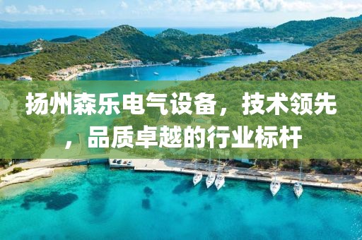 扬州森乐电气设备，技术领先，品质卓越的行业标杆