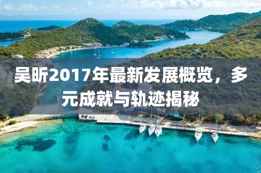 吴昕2017年最新发展概览，多元成就与轨迹揭秘