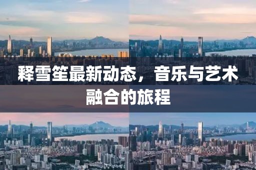 释雪笙最新