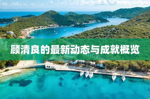 顾清良最新