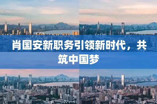 肖国安最新职务