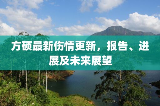 方硕最新伤情