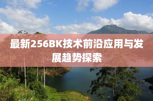 256bk最新