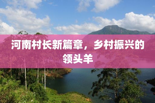 最新河南村长