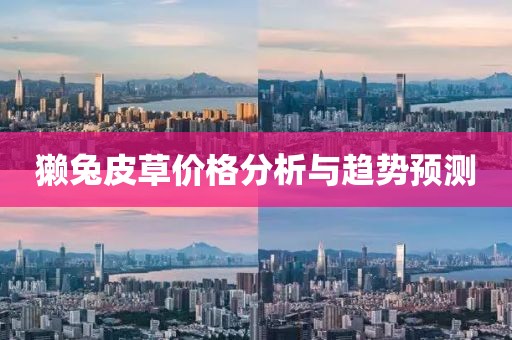 獭兔皮草价格分析与趋势预测