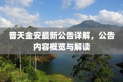 普天金安最新公告详解，公告内容概览与解读