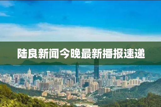 陆良新闻今晚最新播报速递