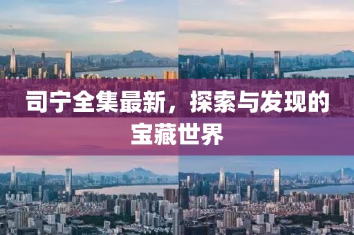司宁全集最新