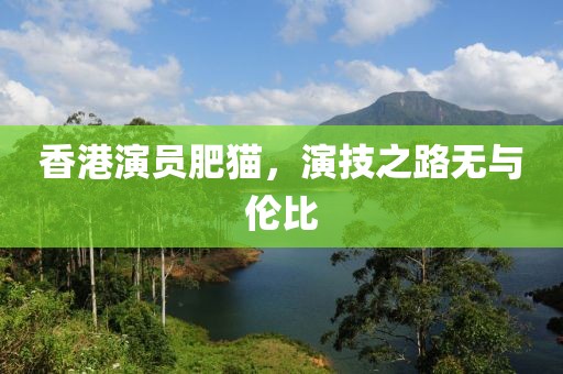 香港演员肥猫，演技之路无与伦比