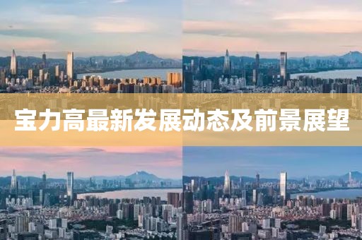 宝力高最新