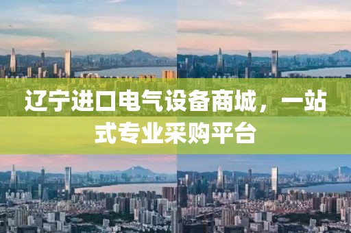 辽宁进口电气设备商城，一站式专业采购平台