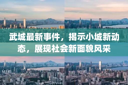 武城最新事件
