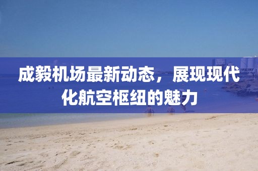 成毅机场最新