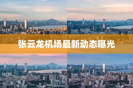 张云龙机场最新