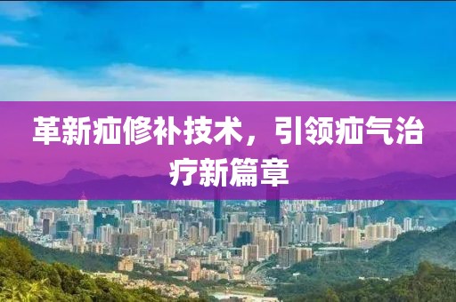最新疝修补片