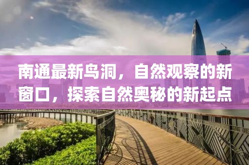 南通最新鸟洞