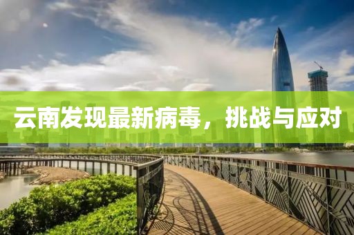 最新病毒云南