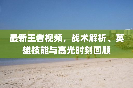 最新的王者视频