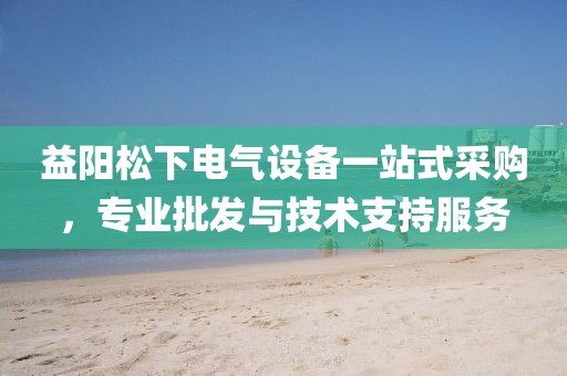 益阳松下电气设备一站式采购，专业批发与技术支持服务