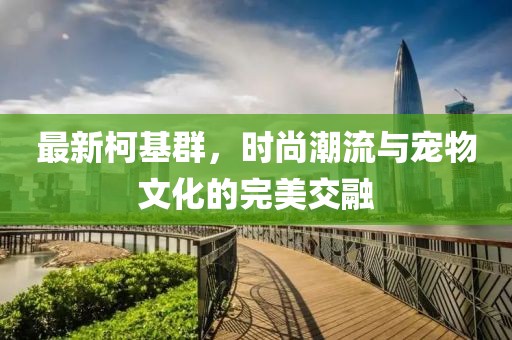 最新柯基群