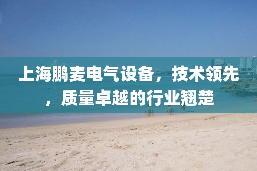 上海鹏麦电气设备，技术领先，质量卓越的行业翘楚