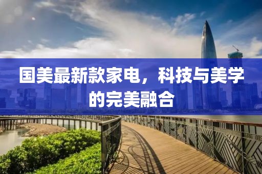 国美最新款