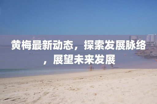 黄梅最新情况