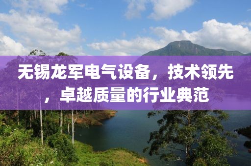 无锡龙军电气设备，技术领先，卓越质量的行业典范