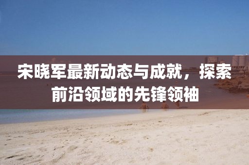 宋晓军最新