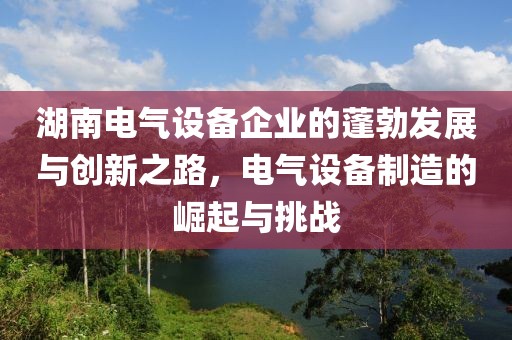 湖南电气设备企业的蓬勃发展与创新之路，电气设备制造的崛起与挑战