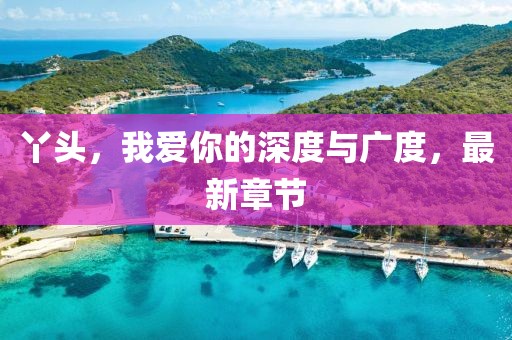 丫头，我爱你的深度与广度，最新章节