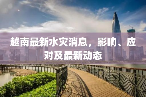 越南最新水灾消息