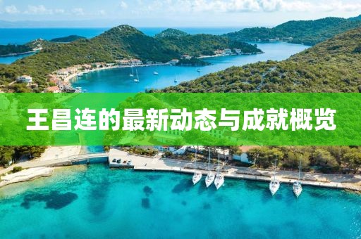 王昌连最新