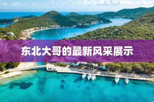 东北大哥最新