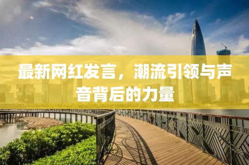 最新网红发言