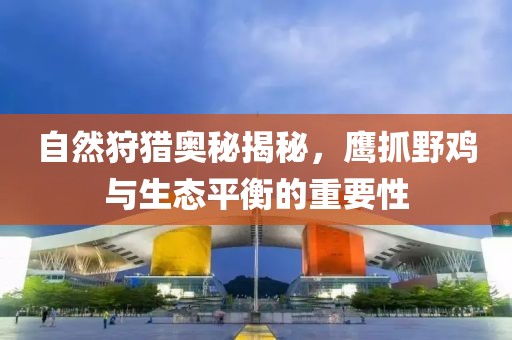 最新鹰抓野鸡