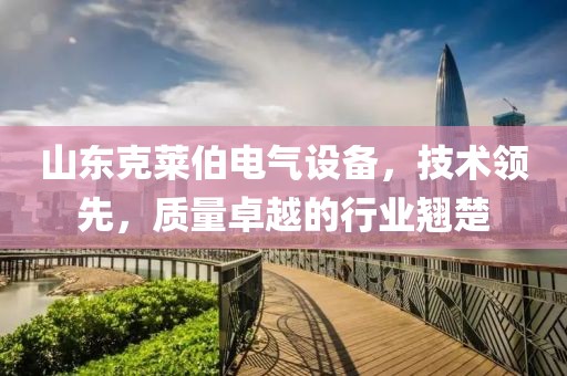 低压配电箱 第302页