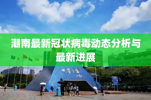 潮南最新冠状
