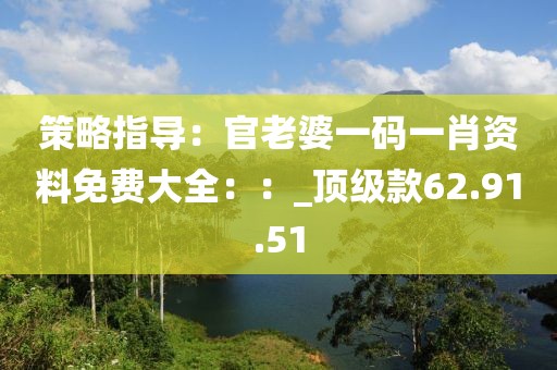 策略指导：官老婆一码一肖资料免费大全：：_顶级款62.91.51