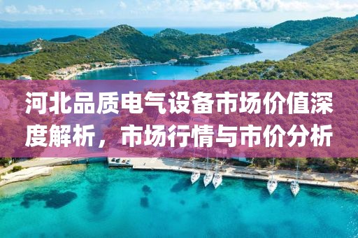 河北品质电气设备市场价值深度解析，市场行情与市价分析