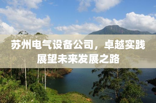 苏州电气设备公司，卓越实践展望未来发展之路