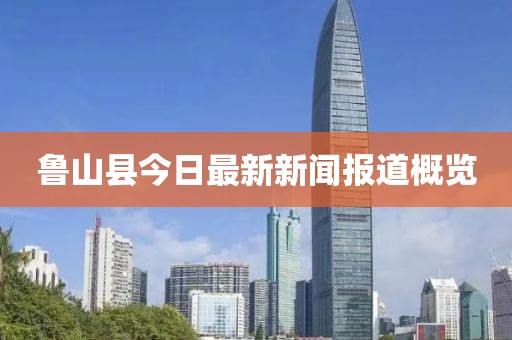 鲁山县今日最新新闻报道概览