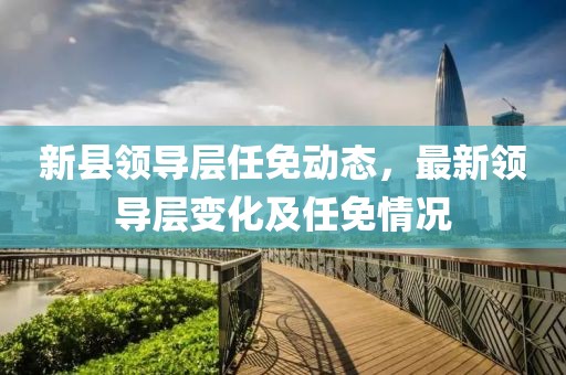 新县最新任免
