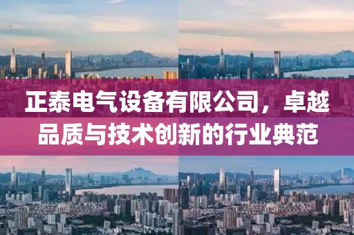 正泰电气设备有限公司，卓越品质与技术创新的行业典范