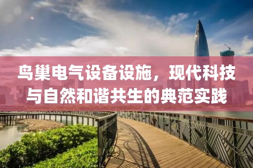 鸟巢电气设备设施，现代科技与自然和谐共生的典范实践