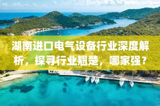 湖南进口电气设备行业深度解析，探寻行业翘楚，哪家强？