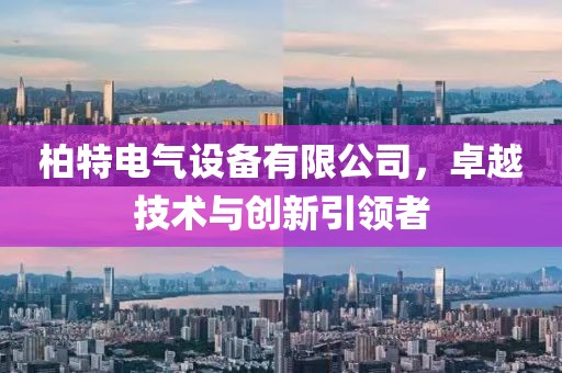 柏特电气设备有限公司，卓越技术与创新引领者