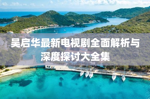 吴启华最新电视剧全面解析与深度探讨大全集