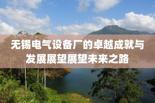 无锡电气设备厂的卓越成就与发展展望展望未来之路
