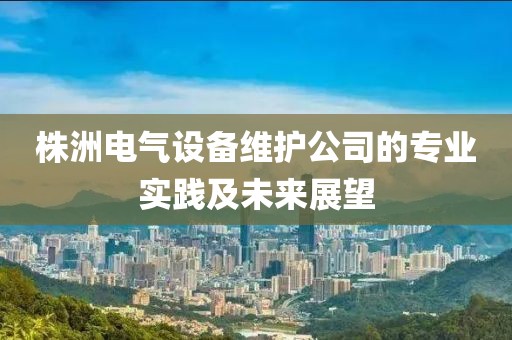 株洲电气设备维护公司的专业实践及未来展望